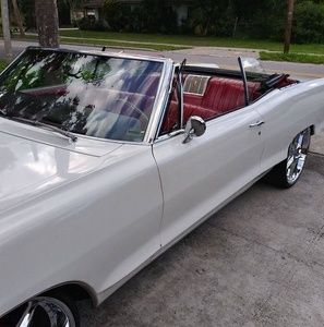 Meet your Posher, Curtis